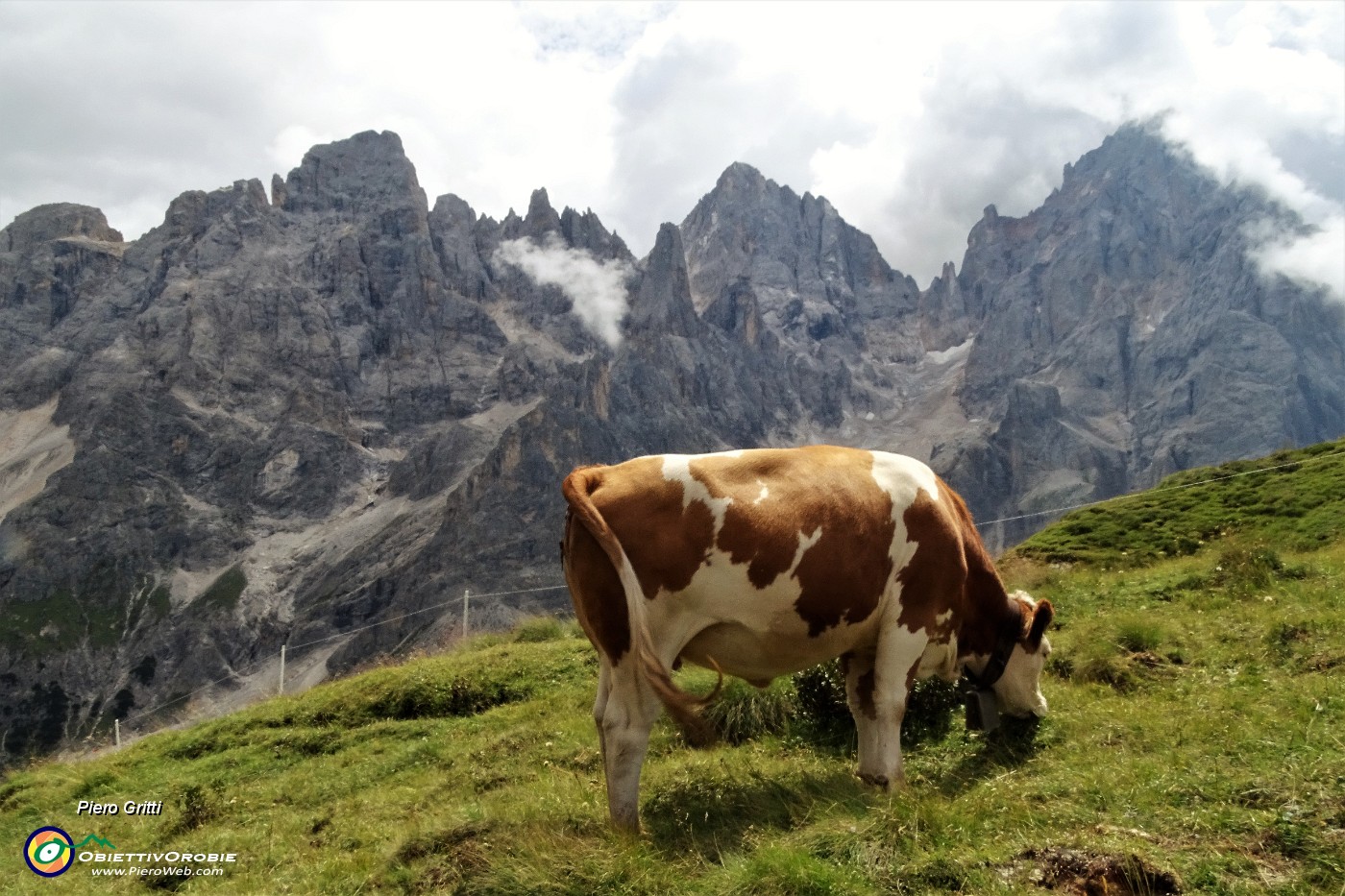 35 Da sfondo le Pale di San Martino.JPG